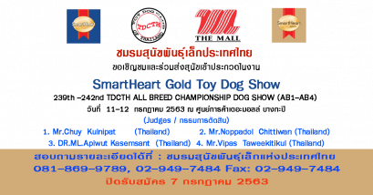 SmartHeart Gold Toy Dog Show 2020